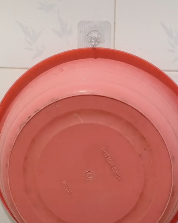 Mẹo dùng móc dán tường giúp bạn tiết kiệm được khối tiền, xem xong chỉ ước biết được sớm hơn-1