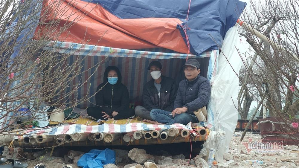 Cận Tết Nguyên đán, đào chúm chím nụ, khách chẳng tới coi-6