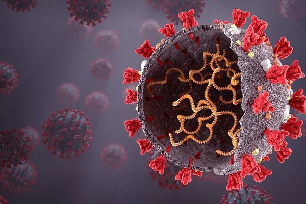 Khu điều trị F0 nguy kịch ở Hà Nội kín giường-3