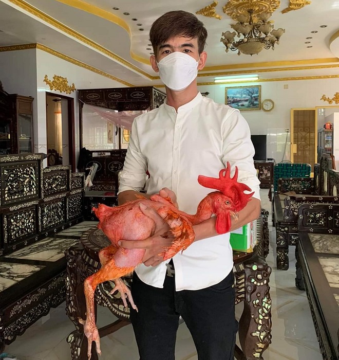 Kì lạ con gà trần trụi, thích ăn sầu riêng, khách trả 50 triệu mà chủ không chịu bán-3