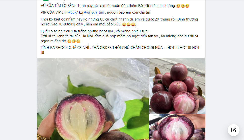 Vú sữa Lò Rèn chín mọng, tím lịm, ít hạt nhiều cùi giảm giá cực sâu, giá 1 kg có nơi chỉ bằng một bát phở-3