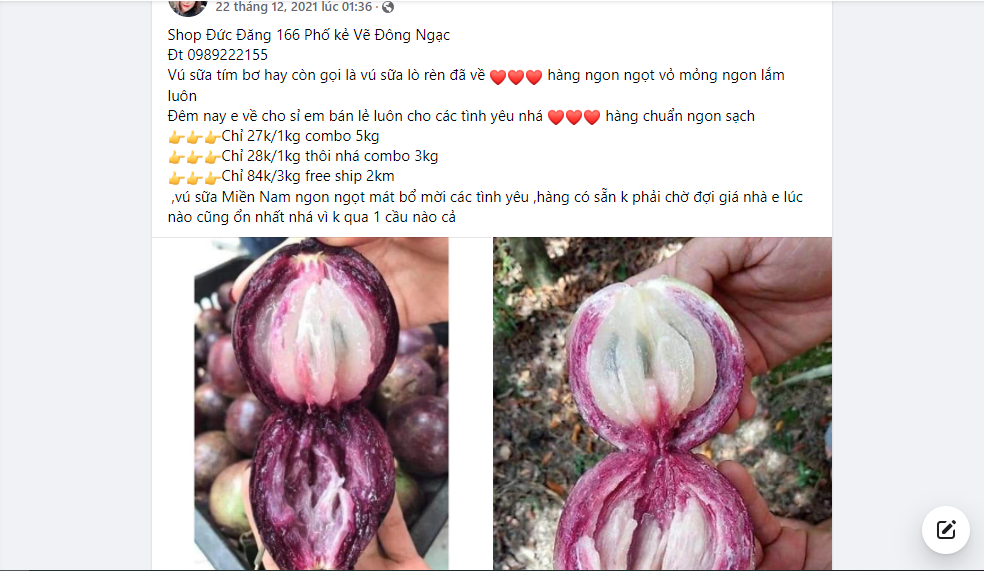 Vú sữa Lò Rèn chín mọng, tím lịm, ít hạt nhiều cùi giảm giá cực sâu, giá 1 kg có nơi chỉ bằng một bát phở-4