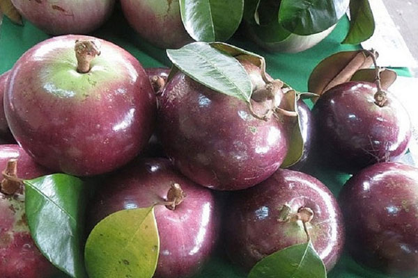 Vú sữa hoàng kim gần 200k/kg khiến chị em tò mò đặt mua tới tấp-7