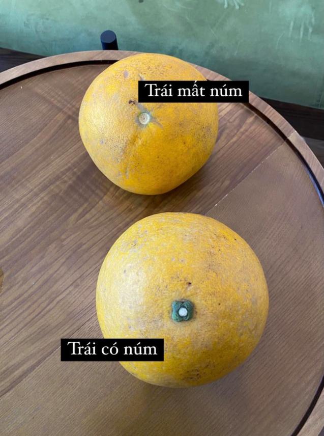 Thêm bước này, bưởi Diễn để 2-3 tháng không hỏng, màu lên vàng óng dù trời nóng hay nồm ẩm-2