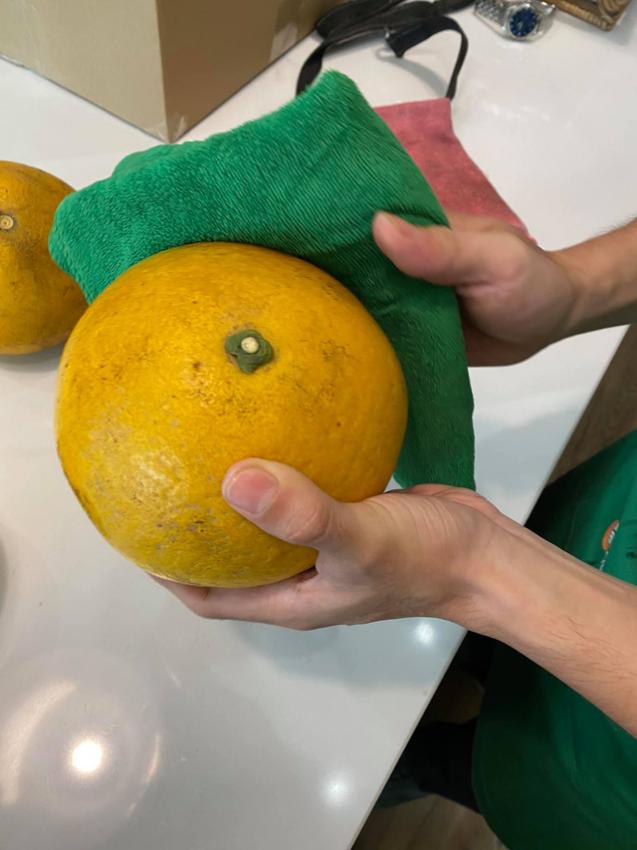 Thêm bước này, bưởi Diễn để 2-3 tháng không hỏng, màu lên vàng óng dù trời nóng hay nồm ẩm-3