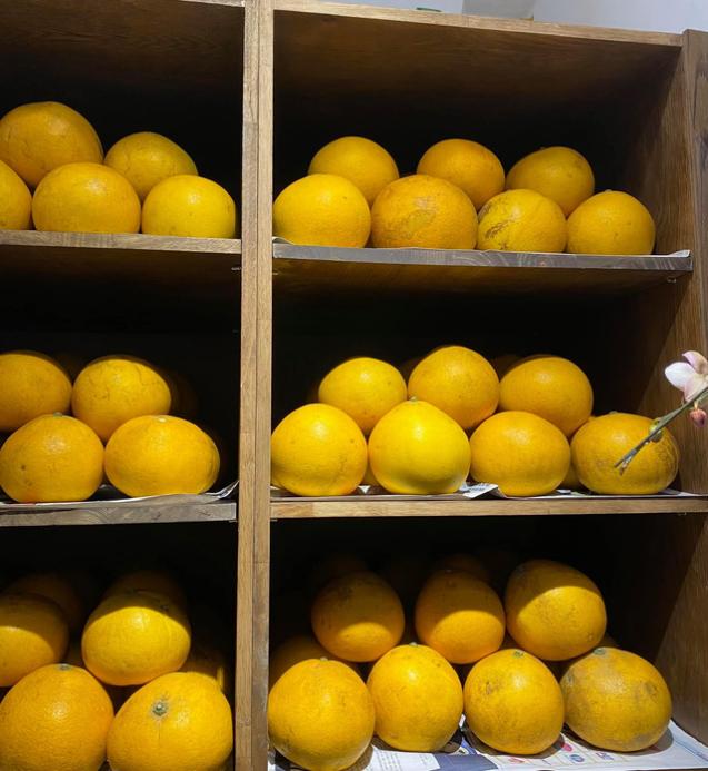 Thêm bước này, bưởi Diễn để 2-3 tháng không hỏng, màu lên vàng óng dù trời nóng hay nồm ẩm-6