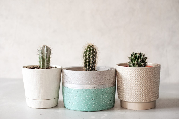 7 đồ vật hầu như nhà nào cũng có lại đem đến đen đủi ớn lạnh xương sống trong phong thủy-3