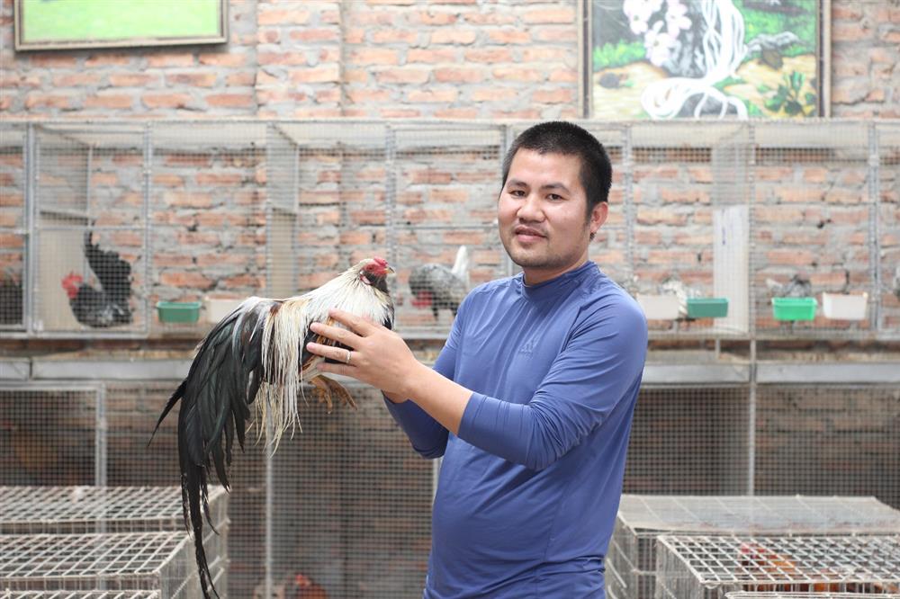 Chi chục triệu đồng mua cặp gà tre đuôi dài nửa mét, dáng oai vệ chơi Tết-2