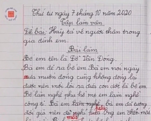 Học sinh miêu tả người thân: Bà em không ĐÓNG lại được nên mới TÒI ra bố em, phút cuối bẻ lái nghe mà lạnh sống lưng-1