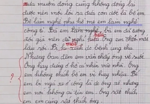 Học sinh miêu tả người thân: Bà em không ĐÓNG lại được nên mới TÒI ra bố em, phút cuối bẻ lái nghe mà lạnh sống lưng-2