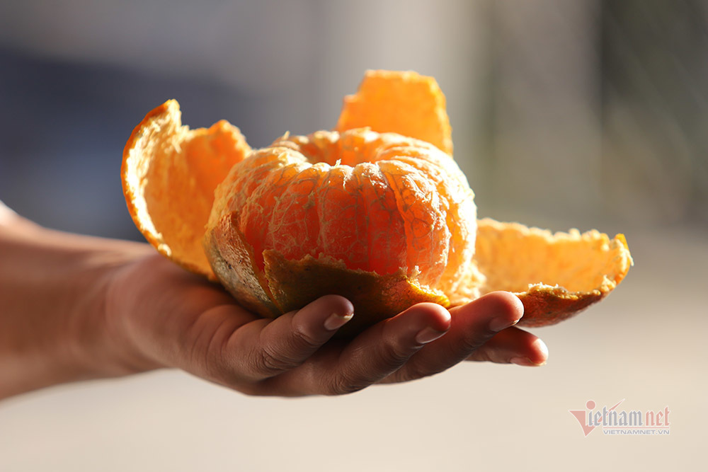 Làng cam rực vàng giữa rừng, thu vội 350 tỷ ăn Tết-5