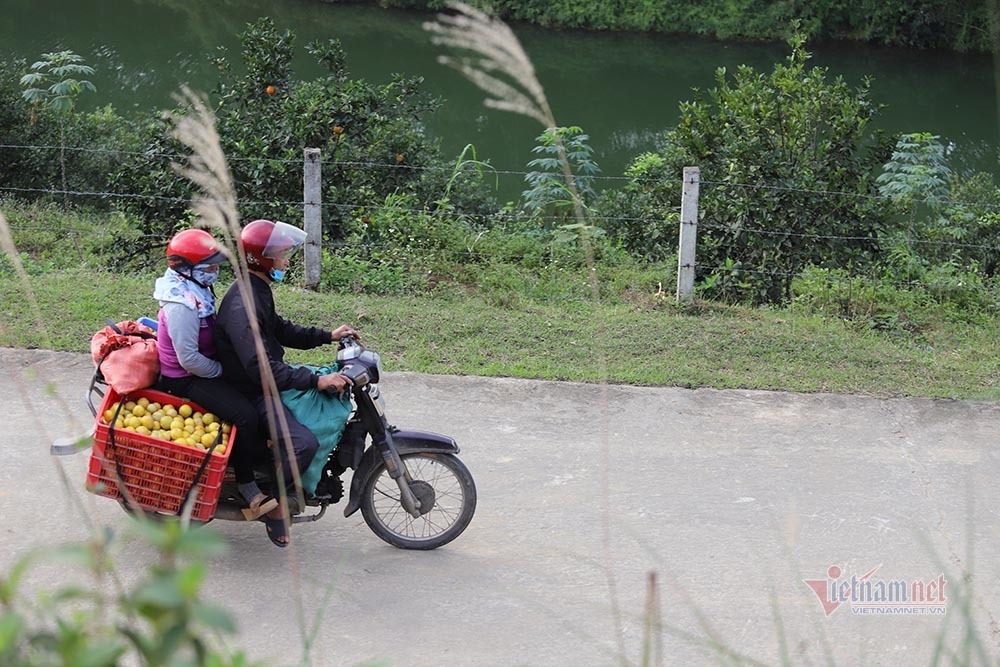 Làng cam rực vàng giữa rừng, thu vội 350 tỷ ăn Tết-14