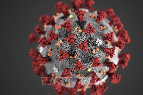 Test nhanh COVID: Khi làm cần đặc biệt lưu ý 3 điều sau để kết quả không sai lệch-3