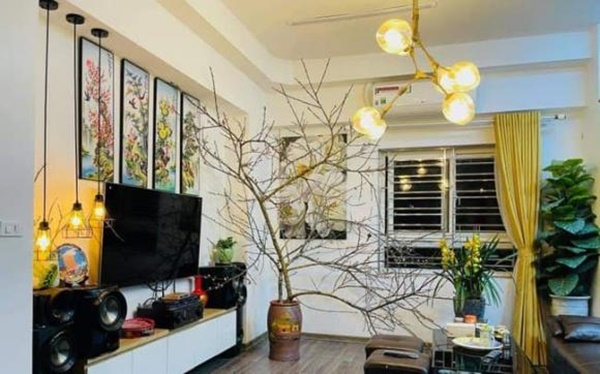 Dọn nhà cuối năm cần đặc biệt lưu ý những điều này, nếu phạm phải dễ gặp cảnh thất thoát tiền bạc-3