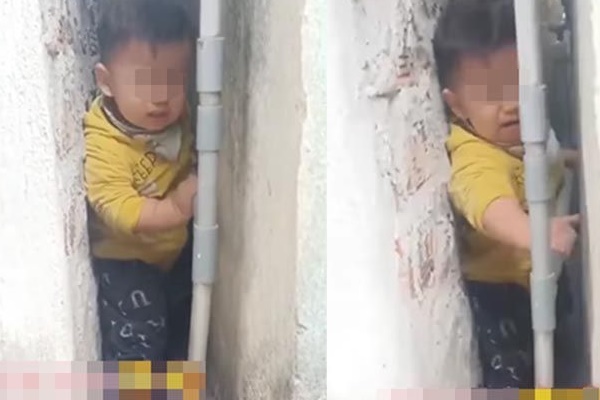 Con rết to như ngón tay bò đến chỗ em bé đang ngủ, khoảnh khắc cứu nguy của bố mẹ khiến tất cả nín thở-2