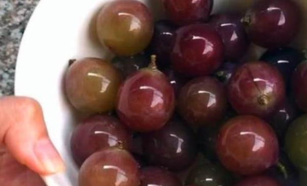 Nho mua về càng rửa càng bẩn, mách bạn cách làm sạch đúng cách, thuốc trừ sâu và bụi bẩn sẽ ra hết-5