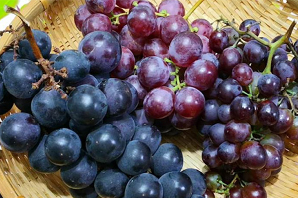 Dù chăm chỉ làm vệ sinh mỗi lần đun xong nhưng nhà bếp vẫn bốc mùi? Hướng dẫn bạn mẹo này, mùi hôi trong bếp sẽ biến mất nhanh chóng-5