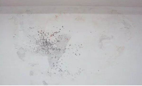 Tường nhà bị ẩm móc, phồng rộp và bong tróc, chẳng cần phải tốn tiền thuê sửa chữa, chỉ bạn một vài phương pháp giải quyết nhanh chóng-2