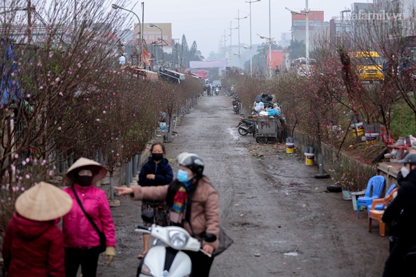 Đào xuống phố đúng thời điểm, tiểu thương vẫn méo mặt vì ít người hỏi mua-2