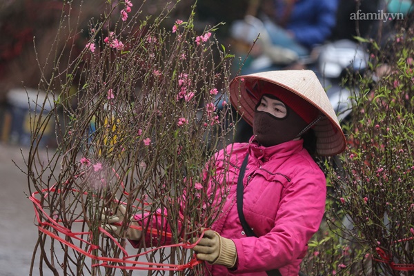 Đào xuống phố đúng thời điểm, tiểu thương vẫn méo mặt vì ít người hỏi mua-3