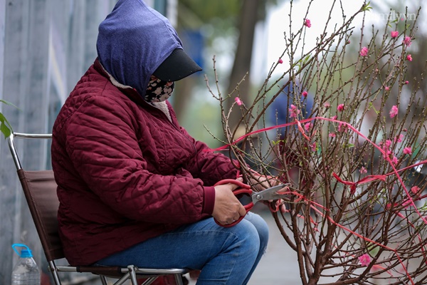 Đào xuống phố đúng thời điểm, tiểu thương vẫn méo mặt vì ít người hỏi mua-10