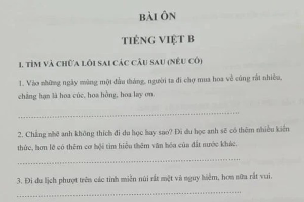 Bài tập chữa lỗi sai tiếng Việt của học sinh Nhật Bản khiến người Việt xịn 100% toát mồ hôi: Học khối C cũng chịu thua luôn á-2