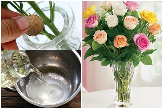 Thêm thứ này vào nước, hoa ngày Tết luôn rực rỡ, lung linh lại tươi lâu