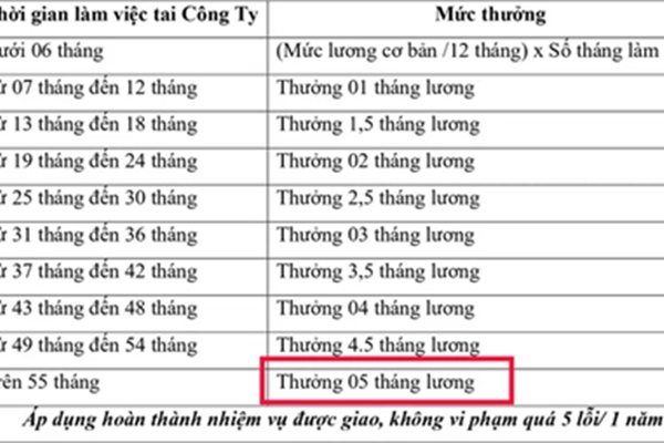 Nghỉ việc ngay sau Tết, bạn có vô ơn không?-6