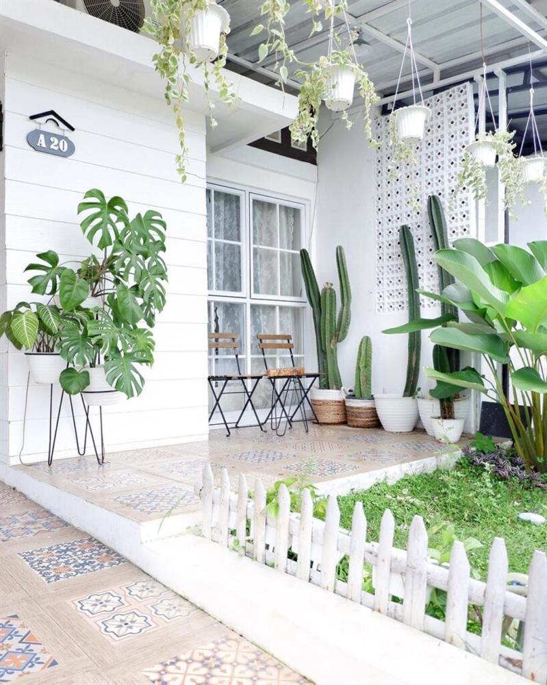 Ý tưởng nhà mini trang trí bằng cây xanh cho không gian sống vừa bình yên vừa râm mát-9