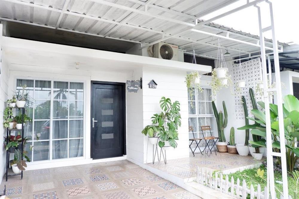 Ý tưởng nhà mini trang trí bằng cây xanh cho không gian sống vừa bình yên vừa râm mát-11