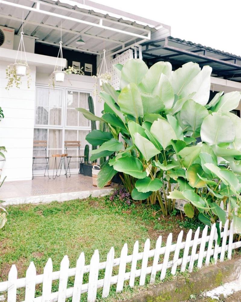 Ý tưởng nhà mini trang trí bằng cây xanh cho không gian sống vừa bình yên vừa râm mát-15