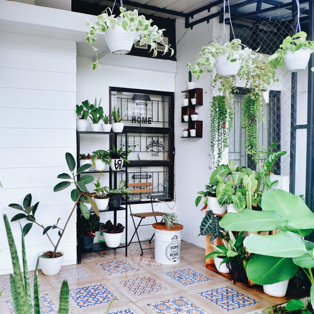 Ý tưởng nhà mini trang trí bằng cây xanh cho không gian sống vừa bình yên vừa râm mát-25