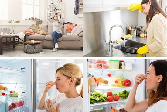Dù chăm chỉ làm vệ sinh mỗi lần đun xong nhưng nhà bếp vẫn bốc mùi? Hướng dẫn bạn mẹo này, mùi hôi trong bếp sẽ biến mất nhanh chóng