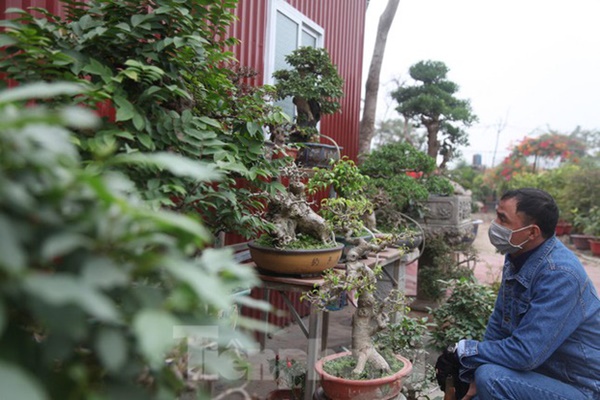 Làng hoa vào vụ Tết, người dân kiếm 20-30 triệu đồng mỗi ngày-8