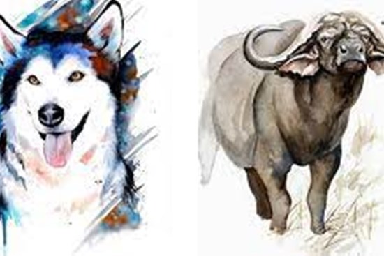 Tử vi tuần mới từ 17-23/1/2022 của 12 con giáp: Sửu tiền tình viên mãn, Tuất cẩn trọng kẻ xấu lợi dụng