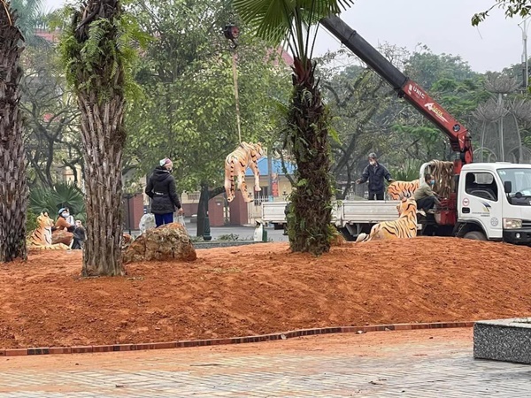 Đàn hổ gầy trơ xương đón Tết 2022, thực hư thông tin bị di dời sau khi gây sốt mạng-7