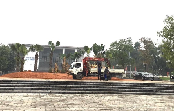 Đàn hổ gầy trơ xương đón Tết 2022, thực hư thông tin bị di dời sau khi gây sốt mạng-8