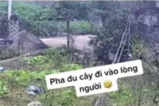 Đang lái xe, thanh niên leo tót lên cây ngồi vắt vẻo, hóa ra là vì tiếng kêu dữ tợn từ xa