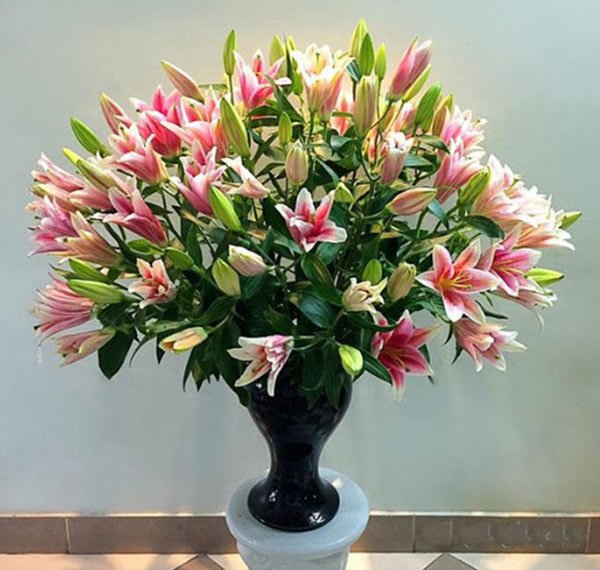 Muốn chọn hoa ly đẹp chơi Tết cứ nhìn điểm này: Không sợ hoa để đông lạnh, bông nở to, cả tuần vẫn tươi-7