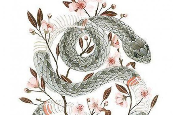 Tử vi 2 tuần cuối cùng của năm Âm lịch: 6 con giáp sau đây kể từ ngày rằm tháng Chạp, vận khí có nhiều chuyển biến tài lộc đổ về như thác-4