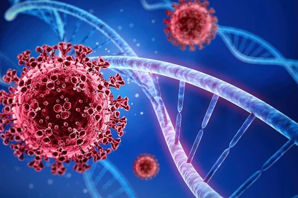 Các tác động ít được quan tâm của Covid-19 lên não-2