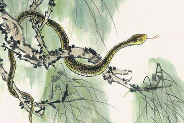 Tử vi 2 tuần cuối cùng của năm Âm lịch: 6 con giáp sau đây kể từ ngày rằm tháng Chạp, vận khí có nhiều chuyển biến tài lộc đổ về như thác-2