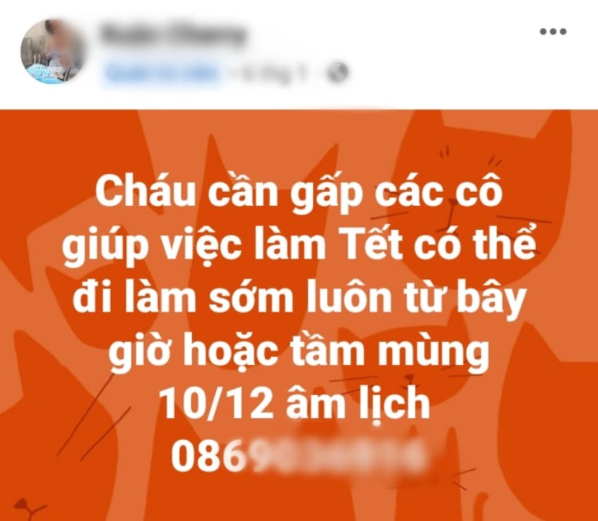 Trông nhà, giúp việc ngày Tết: Lương cả triệu đồng/ngày vẫn khó tìm người-1