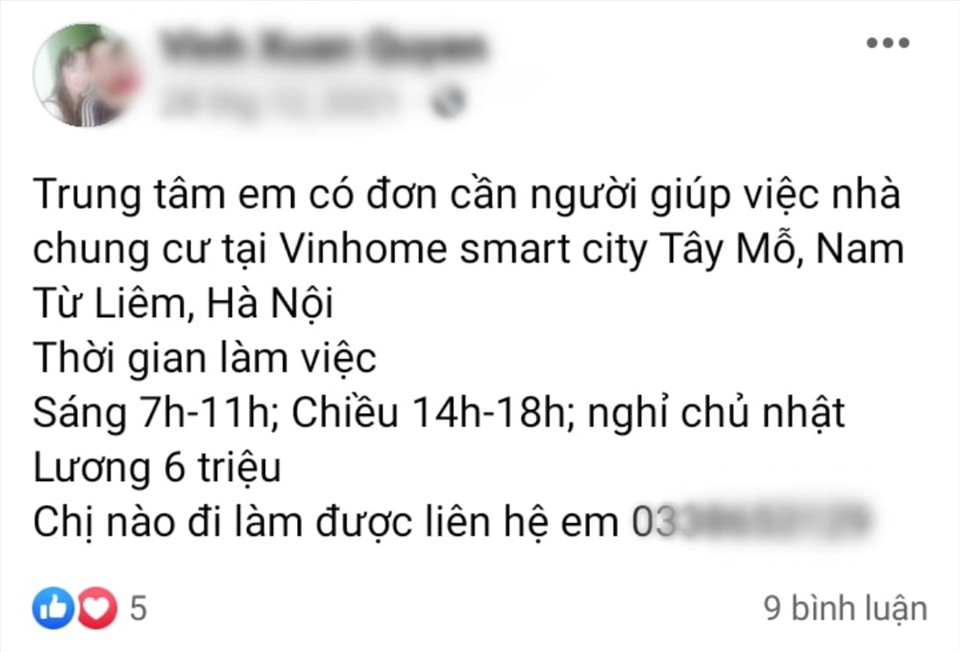 Trông nhà, giúp việc ngày Tết: Lương cả triệu đồng/ngày vẫn khó tìm người-2