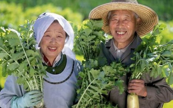 Loại rau kéo dài tuổi thọ mà người Nhật dùng mỗi ngày, tận dụng còn có thể hạ đường huyết và giúp xương khớp khỏe mạnh hơn-1