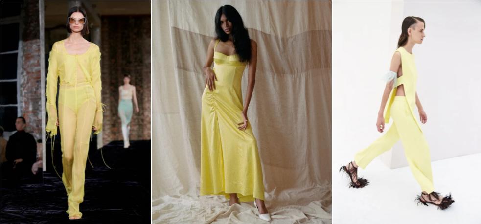 Gam màu thống trị năm 2022-4