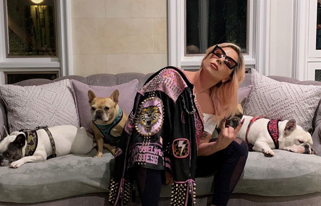 Choáng váng với dinh thự 22,5 triệu đô của Lady Gaga: Có hồ bơi nước mặn vô cực nhưng sốc nhất là trang trại nuôi ngựa lớn-24