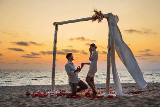 Được cầu hôn như công chúa rồi đăng ký kết hôn gấp gáp nhưng vừa cưới được 2 tuần, cô vợ chết điếng vì lời tuyên bố khó tin của chồng