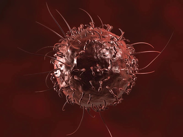 Tế bào ung thư rất SỢ nếu bạn ăn 7 loại rau quả này hàng ngày: Đáng mừng là chúng đều ngon, rẻ, dễ kiếm ở các chợ Việt Nam-1