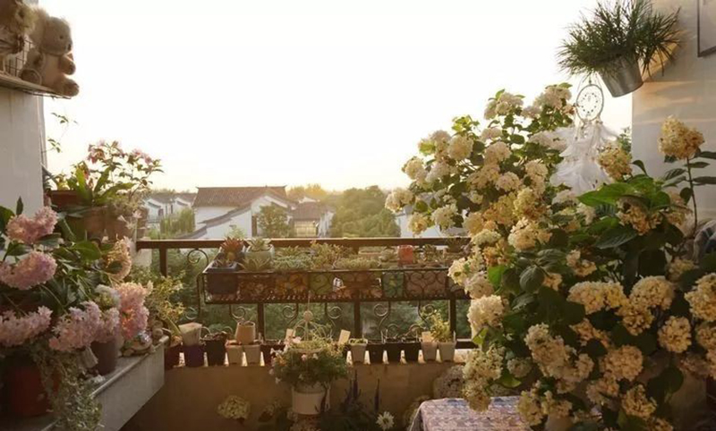 Chàng thiết kế trẻ khéo biến ban công 3m² thành khu vườn mộng mơ khiến các chị em cũng phải ghen tị-6